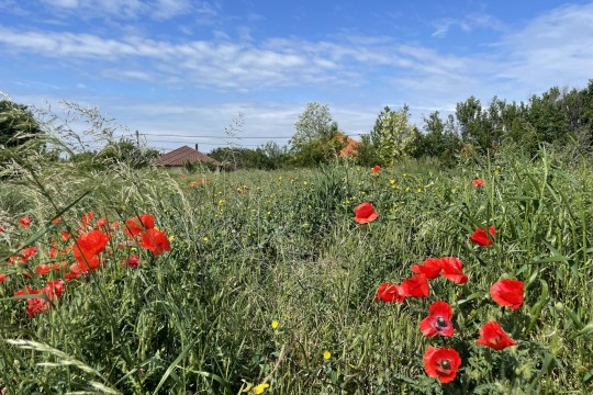 Győrújbarát ingatlanok