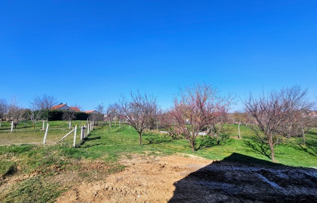 Nagykozár - Bendegúz Lakópark