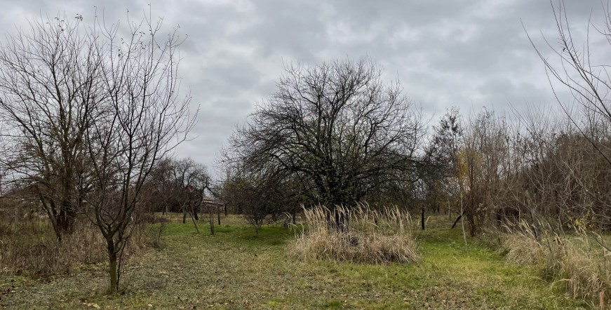 Győrszemere Eladó Telek Koroncói