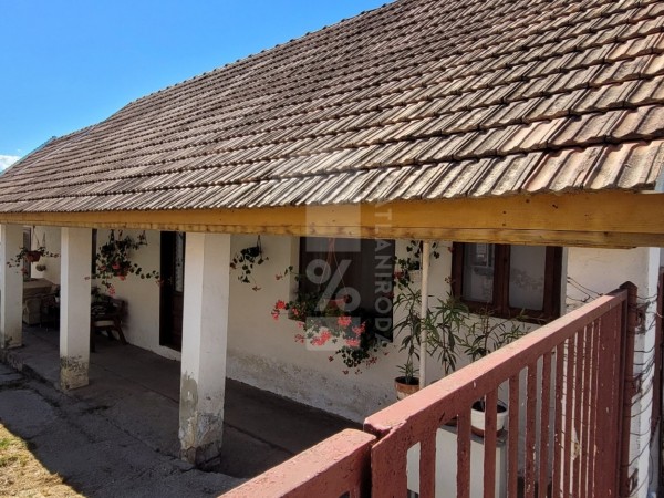 Palkonya ingatlanok