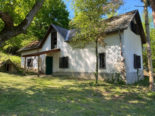 Nemesrádó ingatlanok