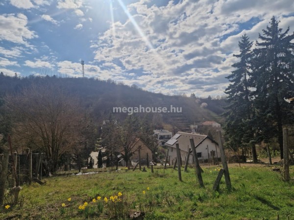 Biatorbágy ingatlanok