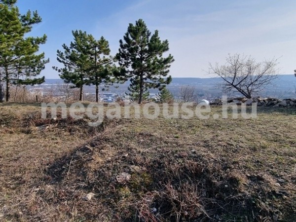 Budaörs ingatlanok