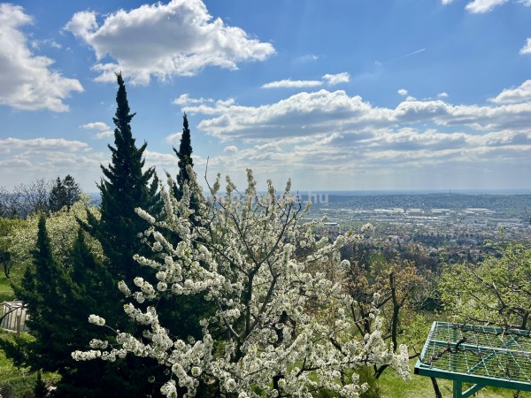 Budaörs ingatlanok