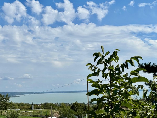 Balatonalmádi ingatlanok
