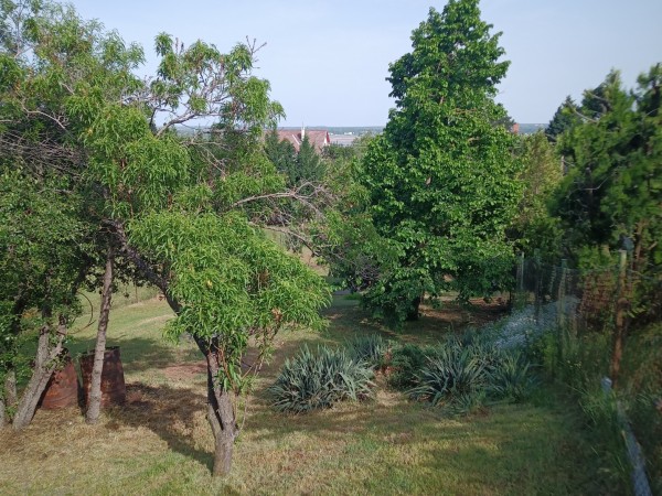 Sukoró ingatlanok