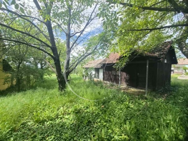 Szigetvár ingatlanok
