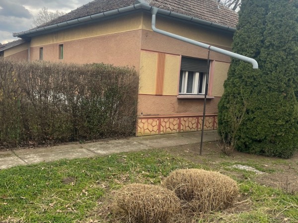 Csanádapáca ingatlanok
