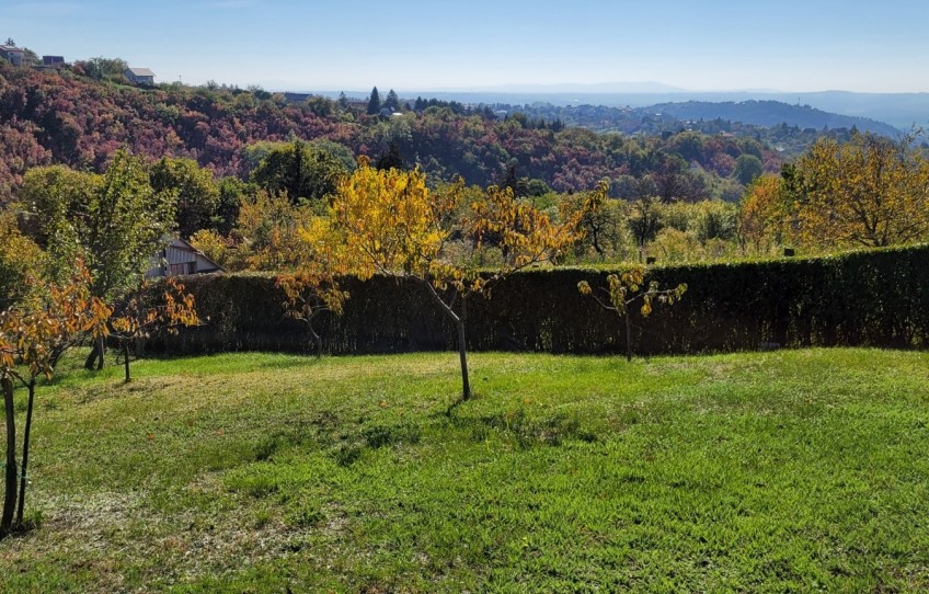 Pécs Eladó Ház