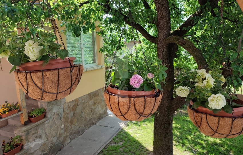 Pécs Eladó Ház Szent Borbála utca