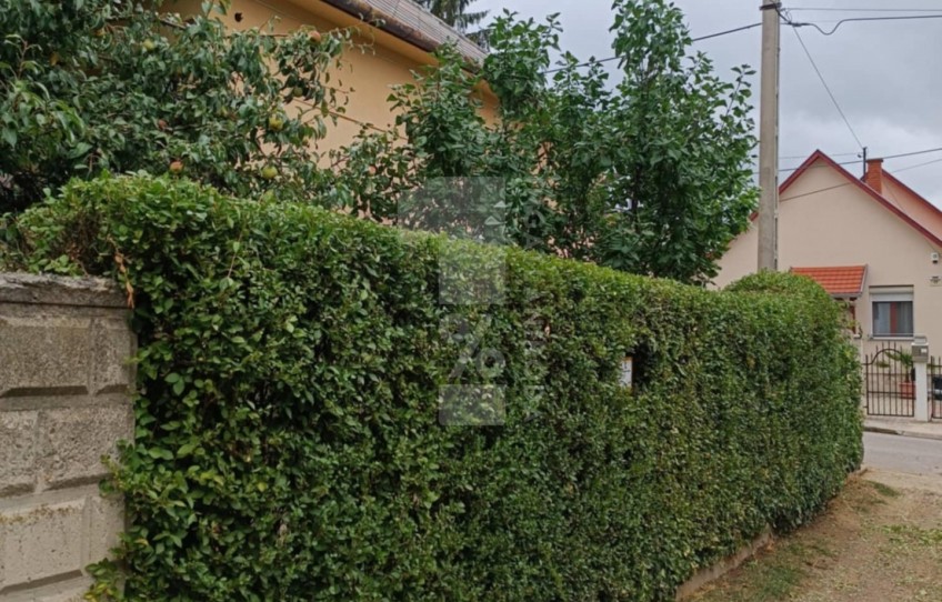 Pécs Eladó Ház Szent Borbála utca