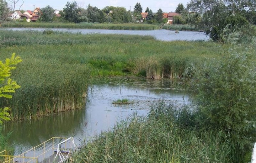 Szigetcsép Eladó Ház Dunasor