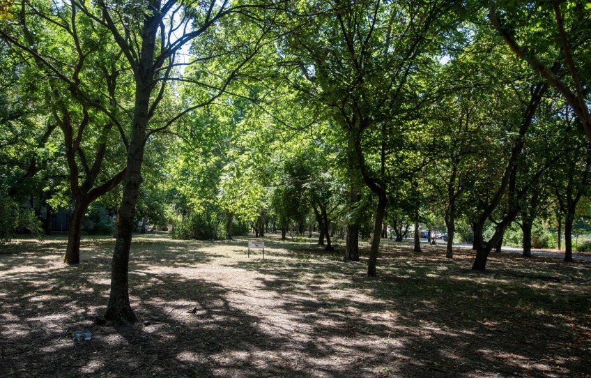 Budapest XIV. kerület Eladó Lakás Zsálya utca
