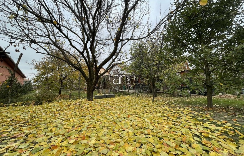 Szeged Eladó Ház