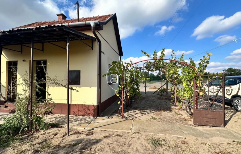 Mórahalom Eladó Telek