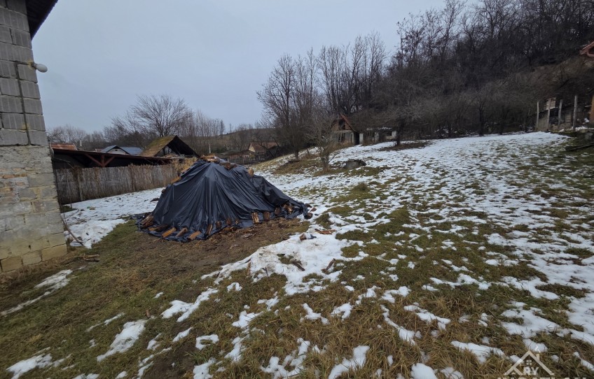 Kissikátor Eladó Ház Táncsics