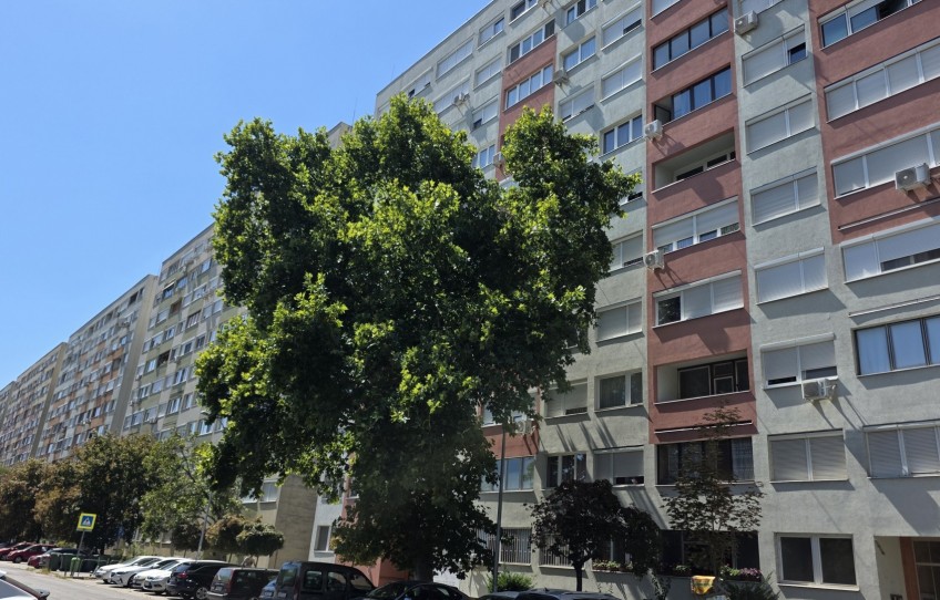 Budapest XI. kerület Eladó Lakás Menyecske utca