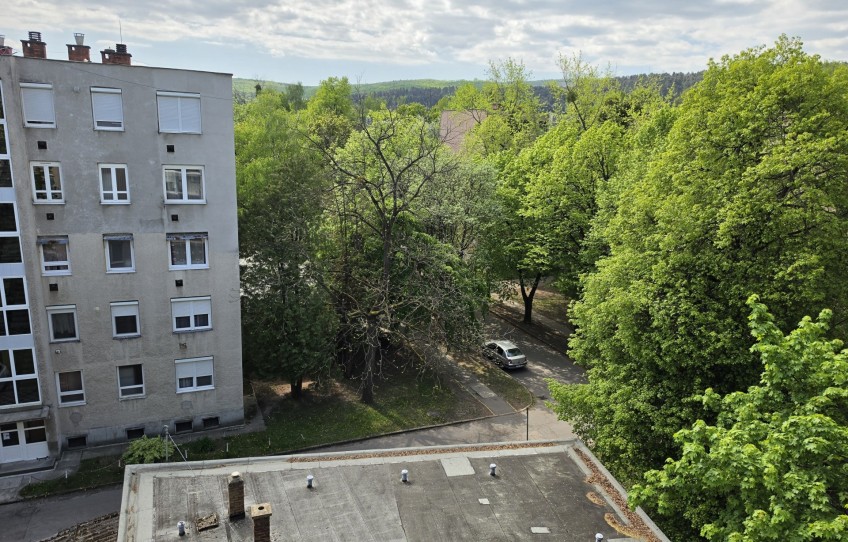 Miskolc Eladó Lakás Iván utca