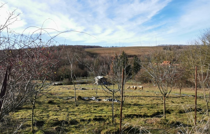 Tilaj Eladó Telek