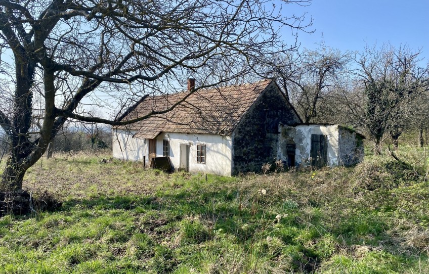 Zalaszántó Eladó Nyaraló