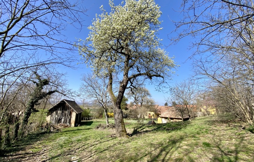 Zalaszentgrót Eladó Ház