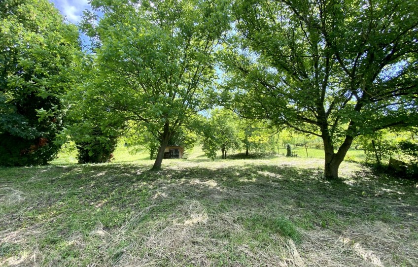 Zalaegerszeg Eladó Telek