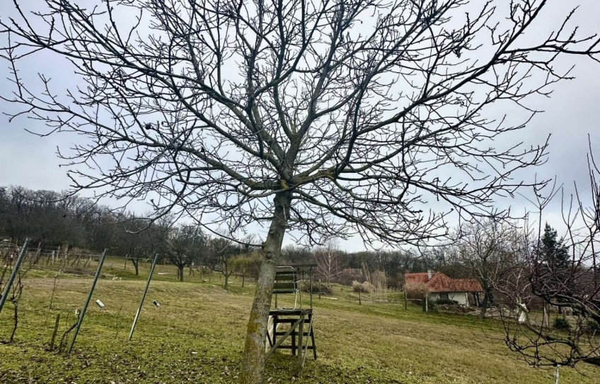 Sümeg Eladó Nyaraló Újhegy