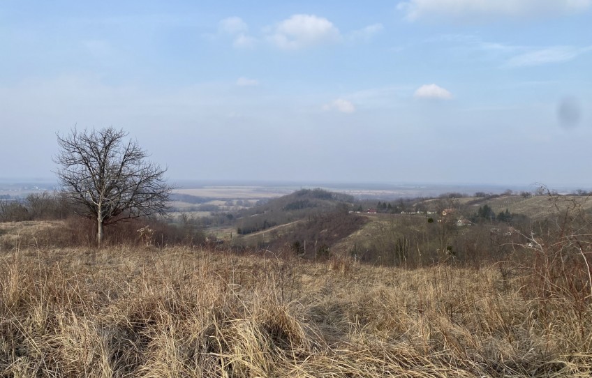 Zalaszentgrót Eladó Telek