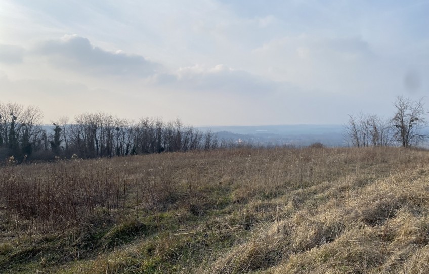 Zalaszentgrót Eladó Telek