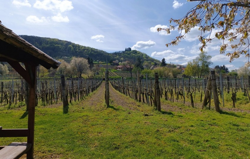 Doba Eladó Nyaraló