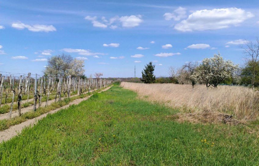 Doba Eladó Nyaraló