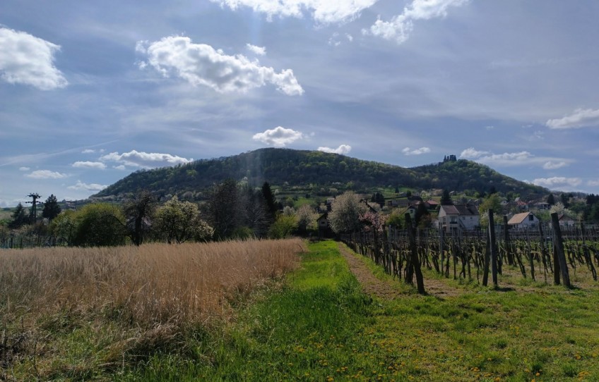 Doba Eladó Nyaraló
