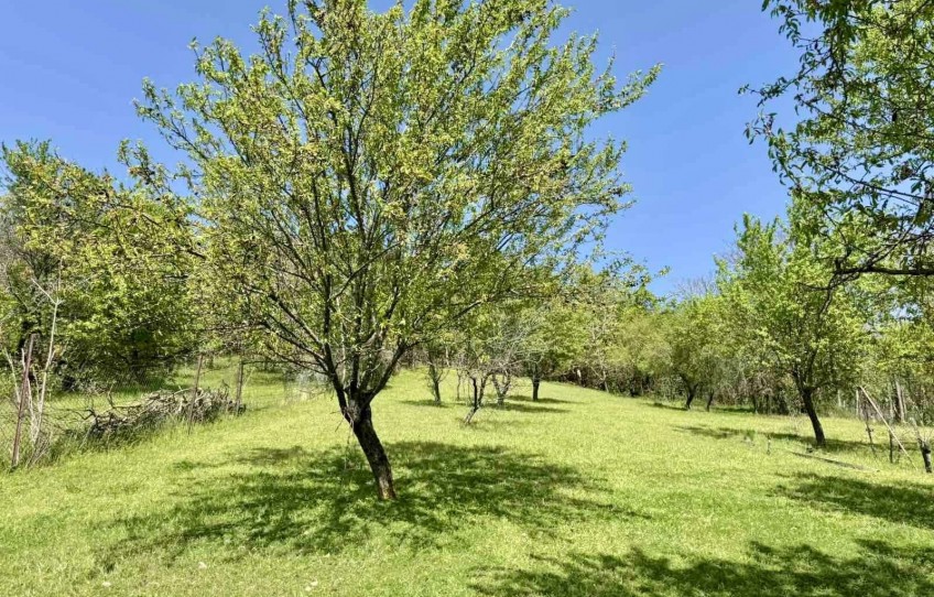 Vonyarcvashegy Eladó Ház