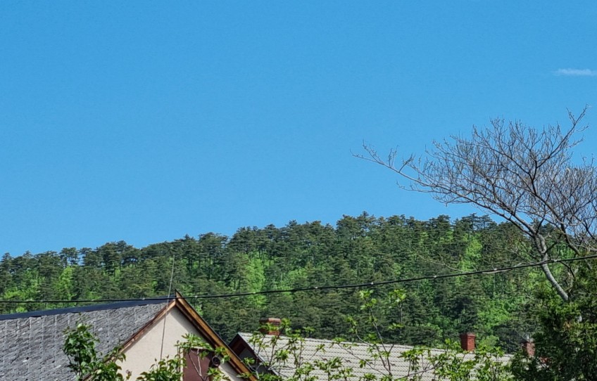 Vonyarcvashegy Eladó Telek