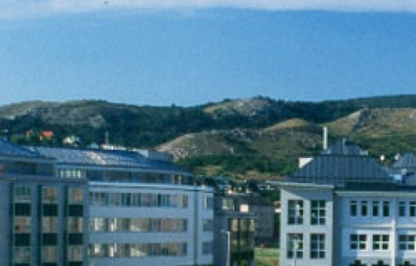 Budaörs Kiadó Iroda Nádasdűlő sétány