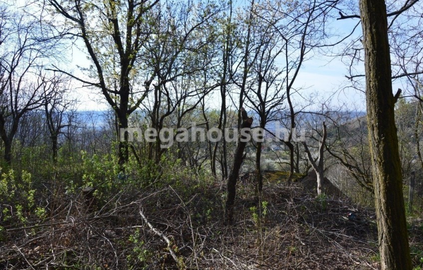 Budaörs Eladó Telek