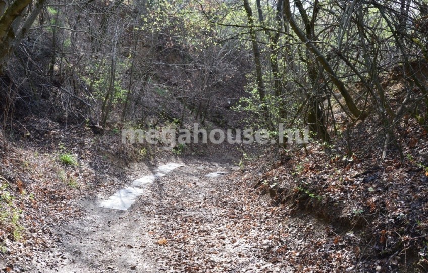 Budaörs Eladó Telek