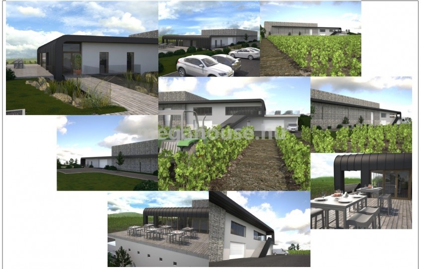 Tokaj Eladó Vendéglátás