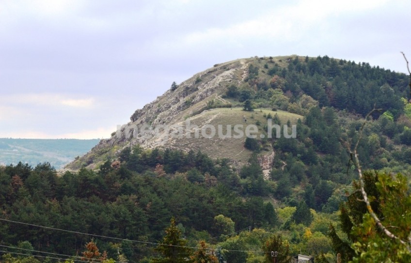 Budaörs Eladó Ház