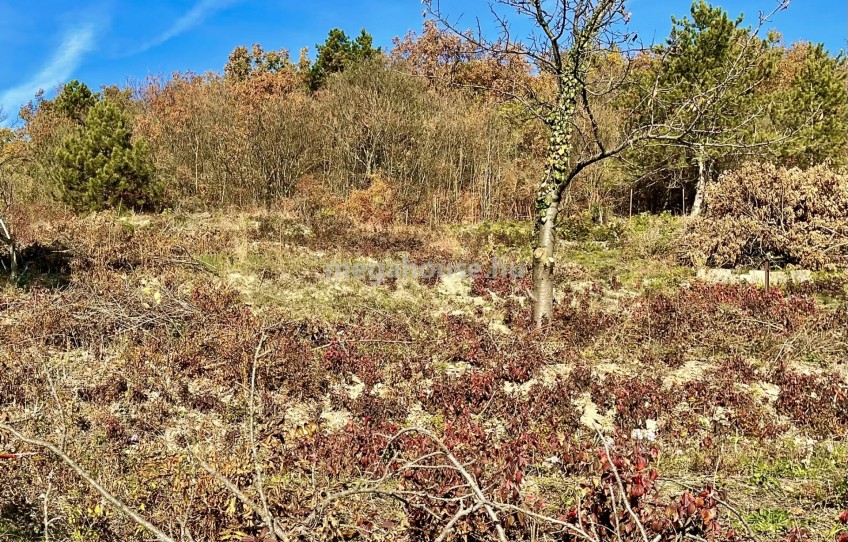 Budaörs Eladó Telek