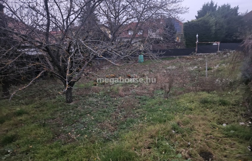 Budaörs Eladó Ház