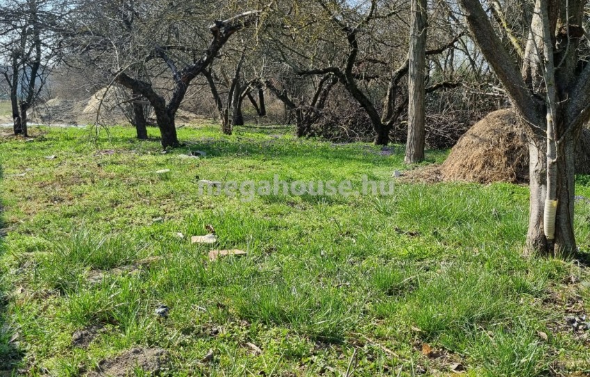 Érd Eladó Telek