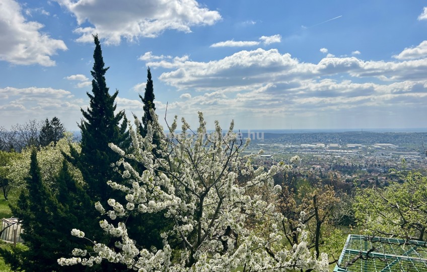 Budaörs Eladó Telek