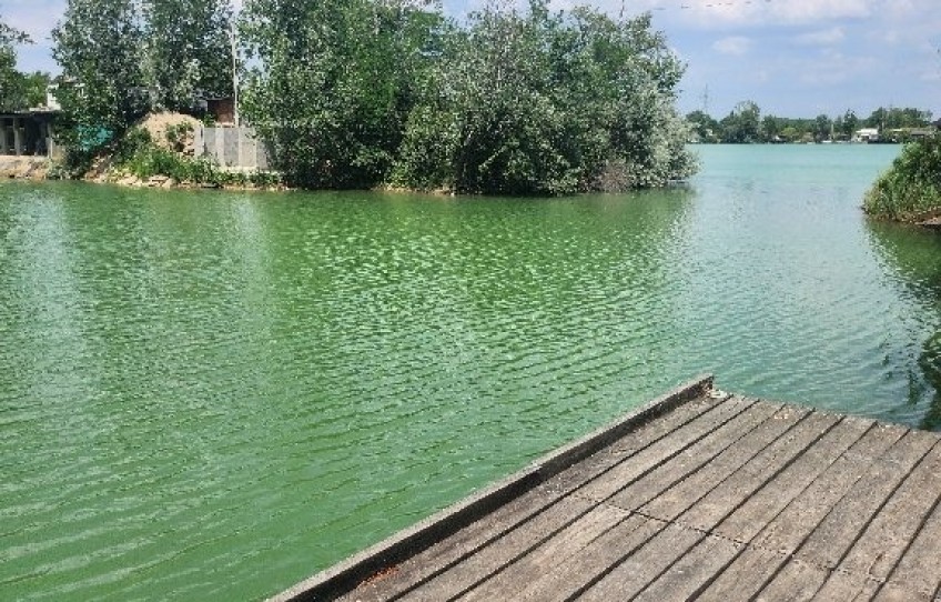 Dunavarsány Eladó Nyaraló