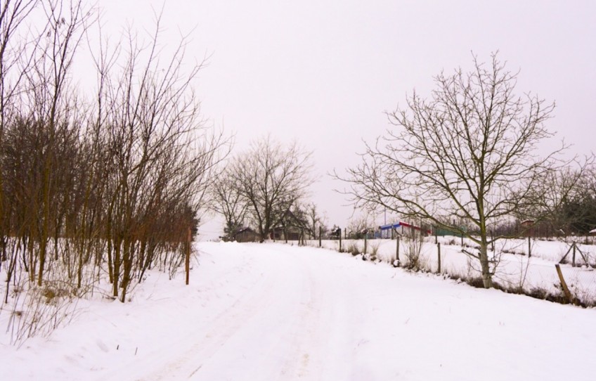 Taksony Eladó Telek