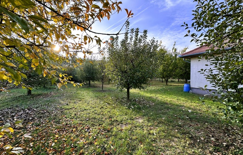 Gyula Eladó Telek