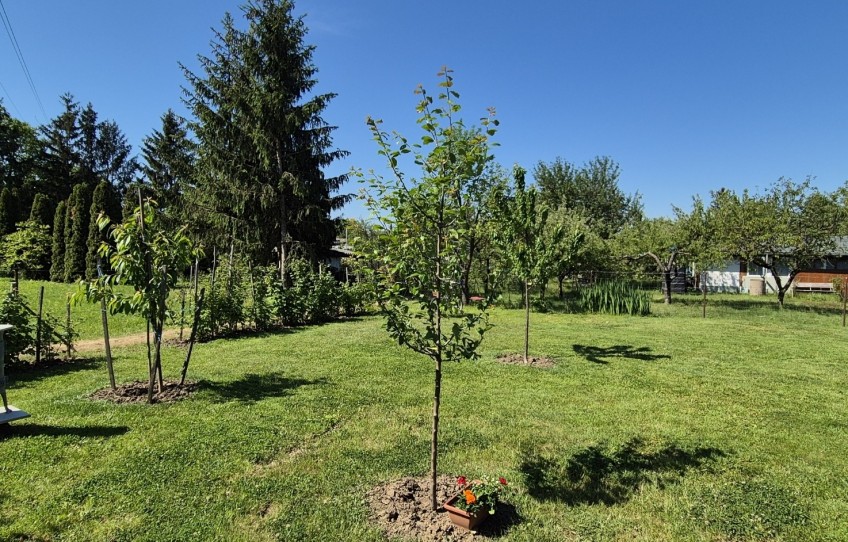 Szombathely Eladó Ház