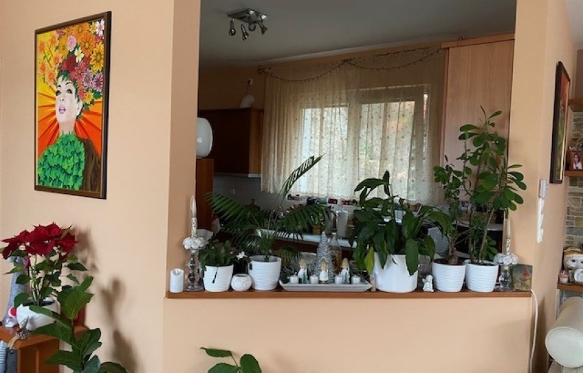 Veszprém Eladó Ház