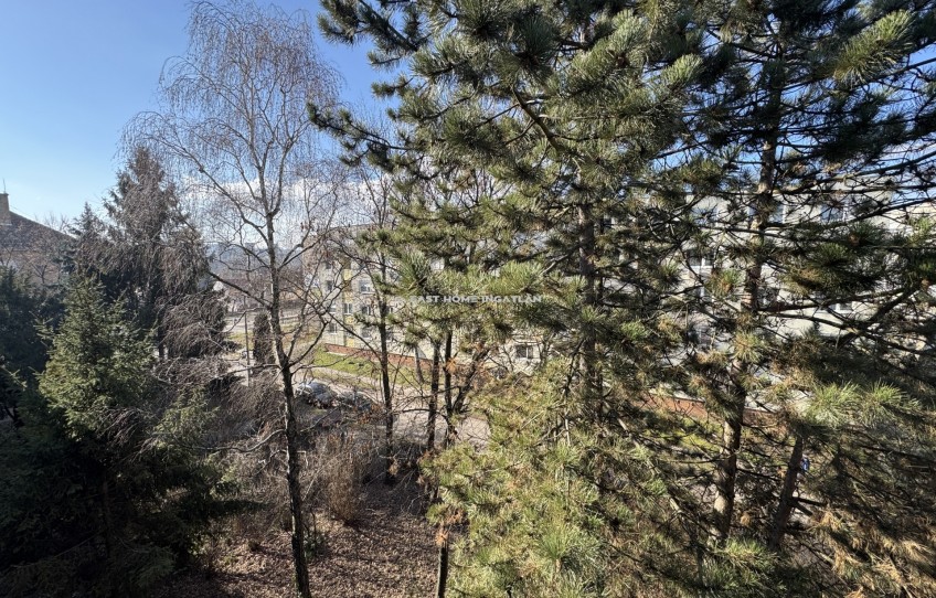 Miskolc Eladó Lakás Gyula utca