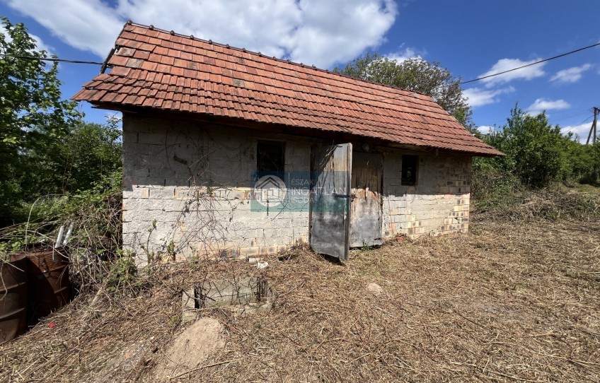 Felsőtelekes Eladó Ház Táncsics Mihály út